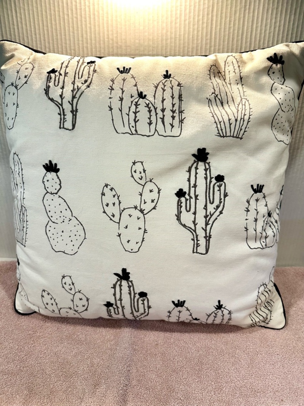 New Southwestern Cactus 3d Embroidery Print Decorative Pillow - Black on Cream